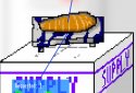 Parasite Days screenshot 2