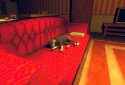 Cat Fred Evil Pet screenshot 4