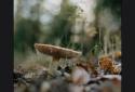 Focus & Blur DSLR - ReLens screenshot 4