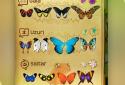 NETFLIX Flutter Butterflies screenshot 8