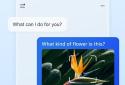 ​​Microsoft Copilot screenshot 2