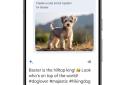 Google Gemini screenshot 5