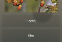 Бесконечная викторина screenshot 10