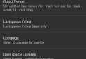 Flac Cue Splitter screenshot 7