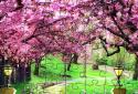 Jigsawscapes® - Пазлы screenshot 2