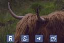 Ion Launcher screenshot 6