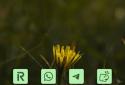 Ion Launcher screenshot 7