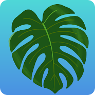 Plant Therapy NYC