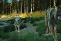 Way of the Hunter Wild America screenshot 1