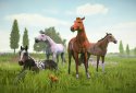Состязание звезд: скачки screenshot 4