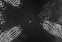 SILT screenshot 6