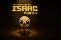The Binding of Isaac: Mobile screenshot 1