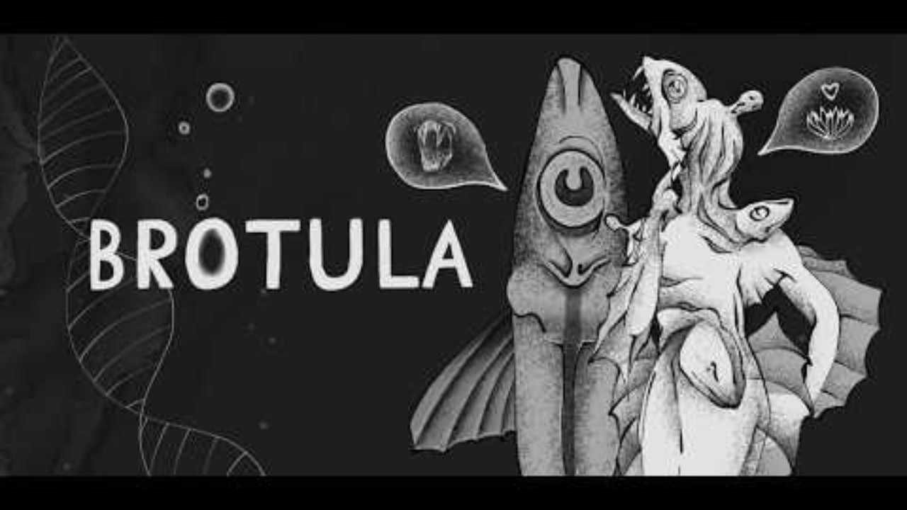 Brotula background