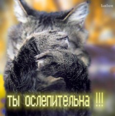 potapuch