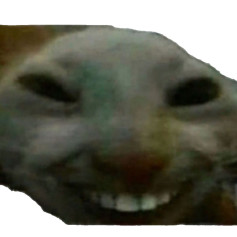 CONSTROOCTOR