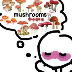 Popskiss
