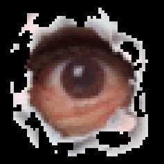 ibikus