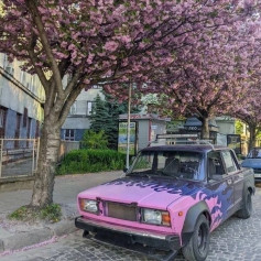 Кепоут