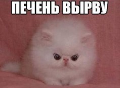 TemaGamer1234