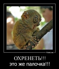 dastwrd