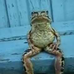 REaL_FleX