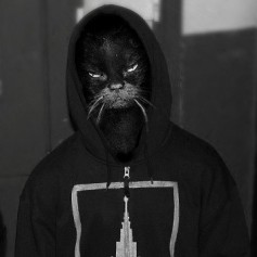 -=КОТ=-