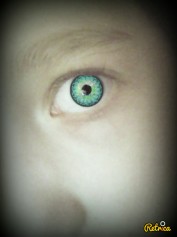 Venera.com