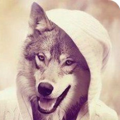 Wolf 25