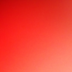 .l.