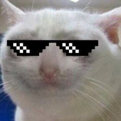TheApalon