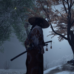 Stranger39;s