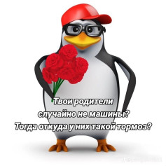 pengвin