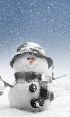 morkowcow1@mail.ru