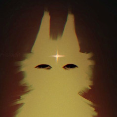 OBSXRVER