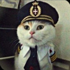 Адмирай