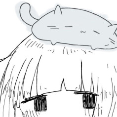 Sleeped