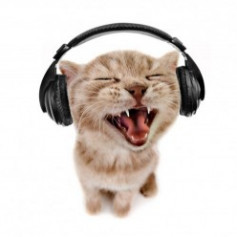 1Mainstreamer