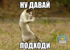 1очка