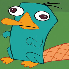 PLATYPUS