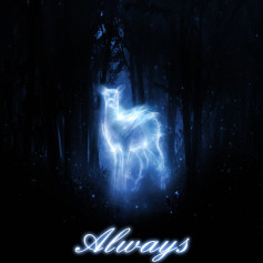 Severus3107