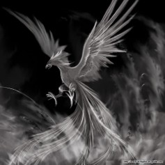 ShadowPhoenix