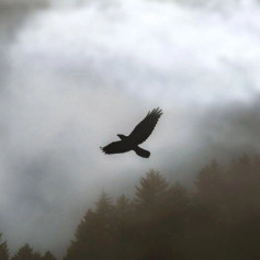 user917341