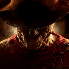 Freddy85491816