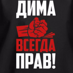 Димчик228