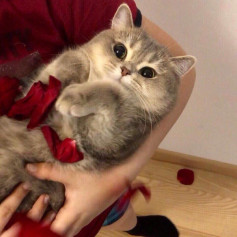 Danya2937