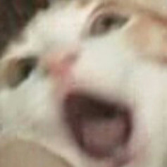 Дизя