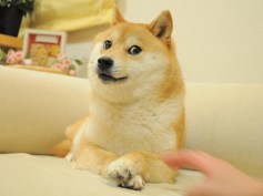 Гуру