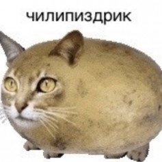 Reniy_bunt