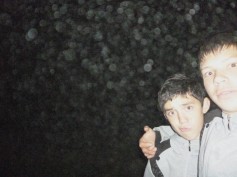 rendi001
