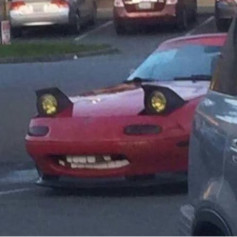 ElRayoKakuin